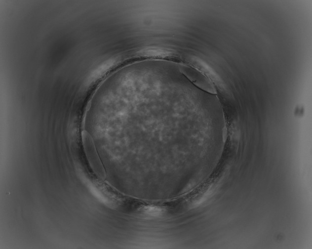 X0000092250352200710051303