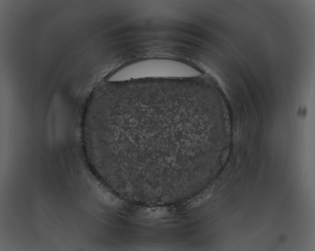 X0000092250353200710051303
