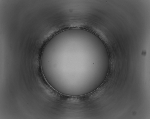 X0000092250354200710051303