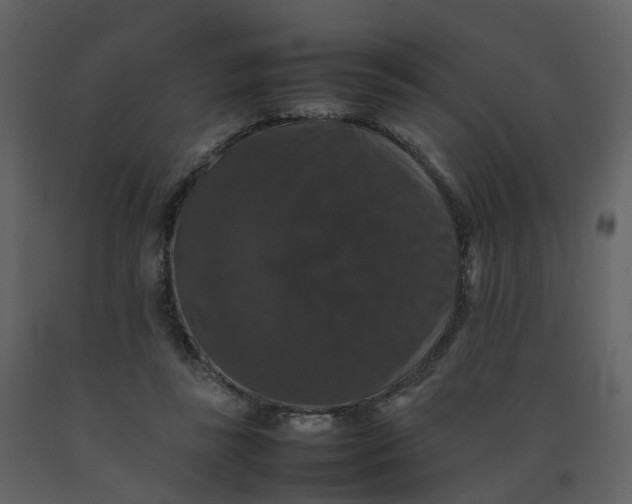 X0000092250355200710051303