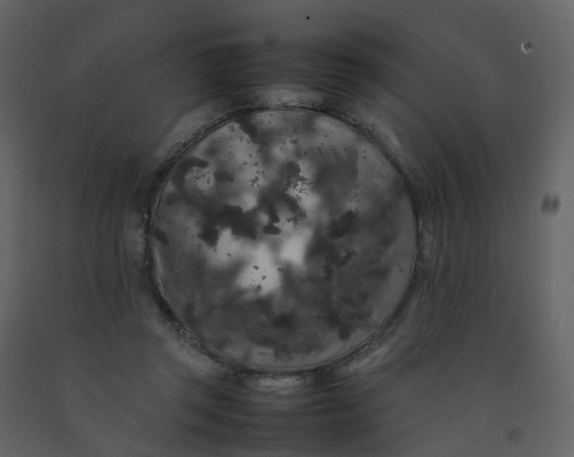 X0000092250357200710051303