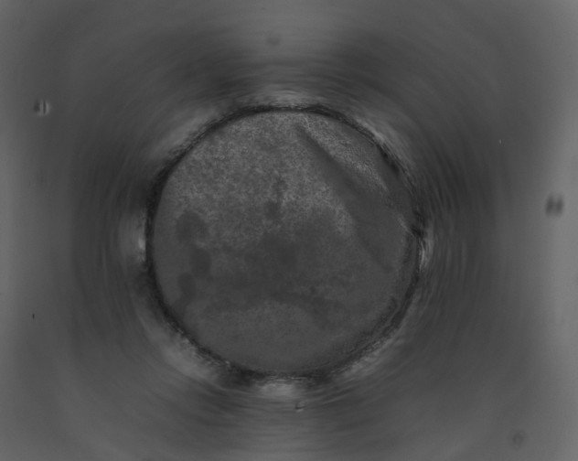 X0000092250358200710051303