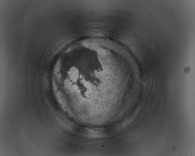 X0000092250359200710051303