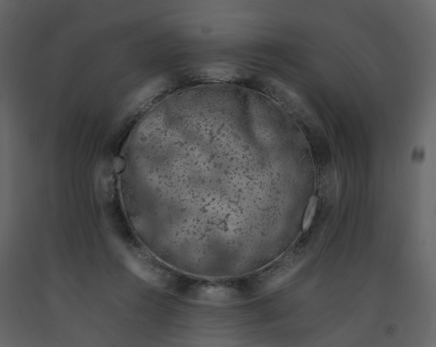 X0000092250360200710051303