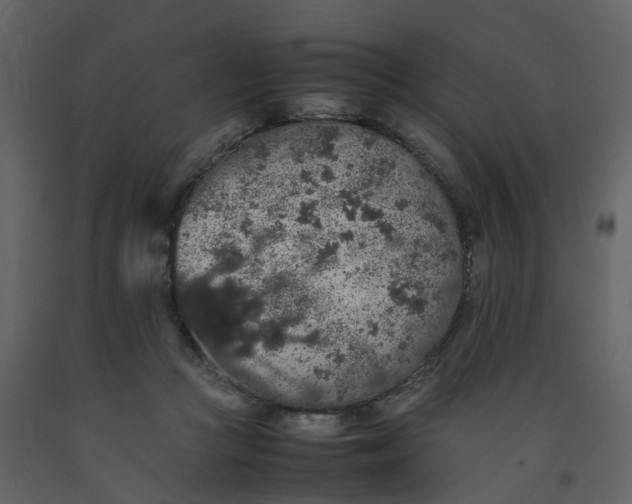 X0000092250361200710051303