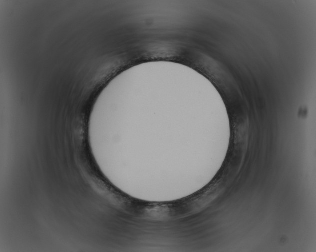 X0000092250362200710051303