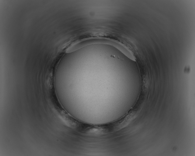 X0000092250364200710051304