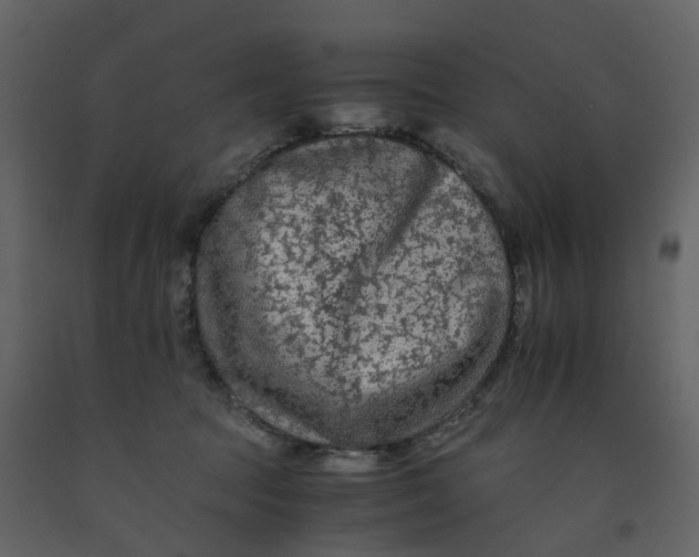 X0000092250369200710051304