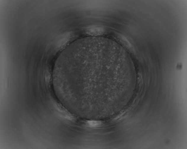 X0000092250371200710051304