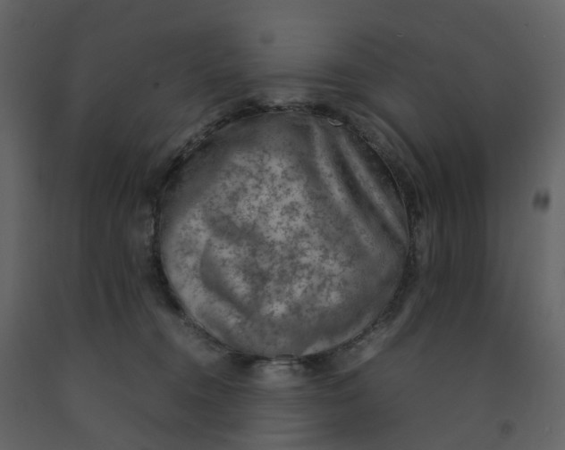 X0000092250372200710051304