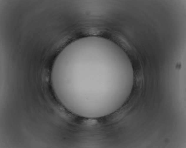 X0000092250374200710051304