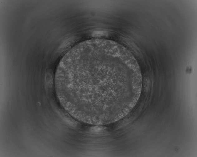 X0000092250375200710051304
