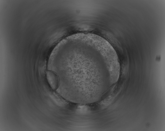 X0000092250376200710051304
