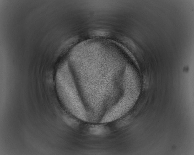 X0000092250377200710051304