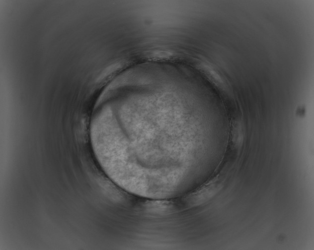 X0000092250378200710051304