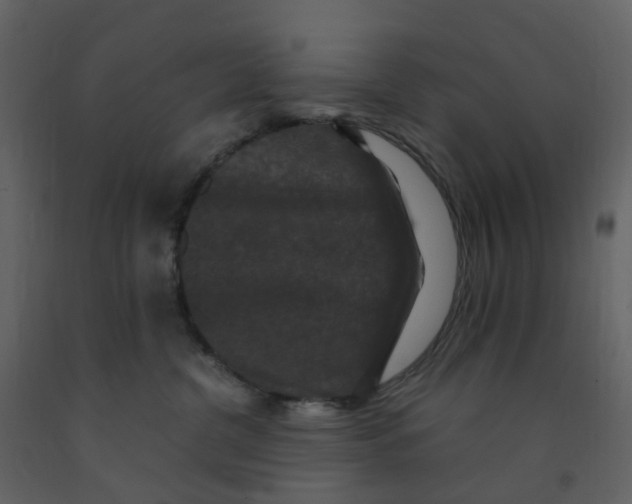X0000092250380200710051304