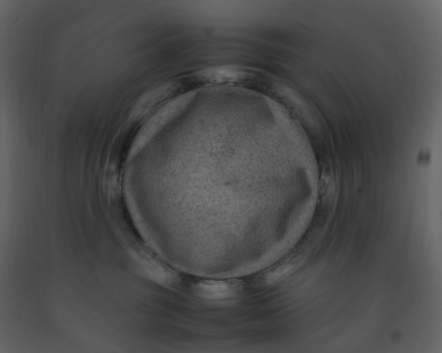 X0000092250381200710051304
