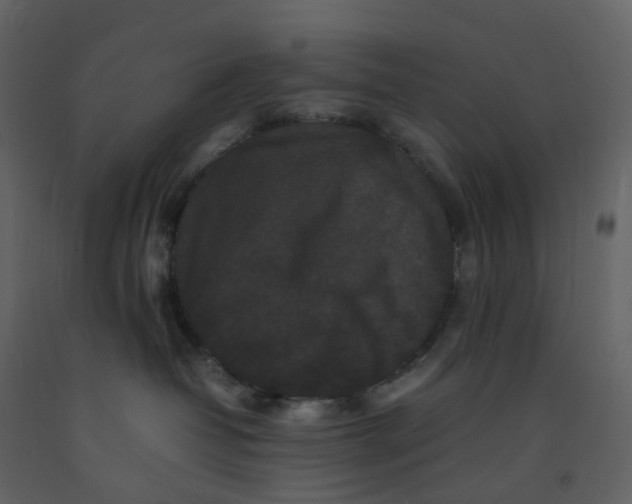 X0000092250382200710051304