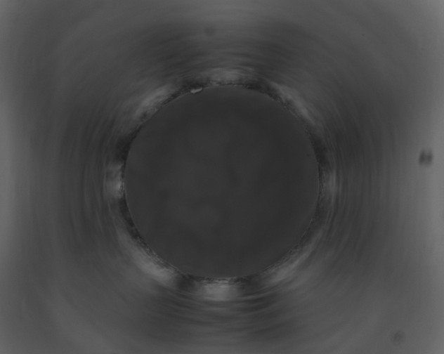 X0000092250383200710051304