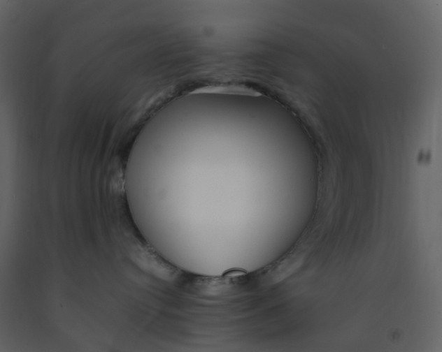 X0000092250384200710051304