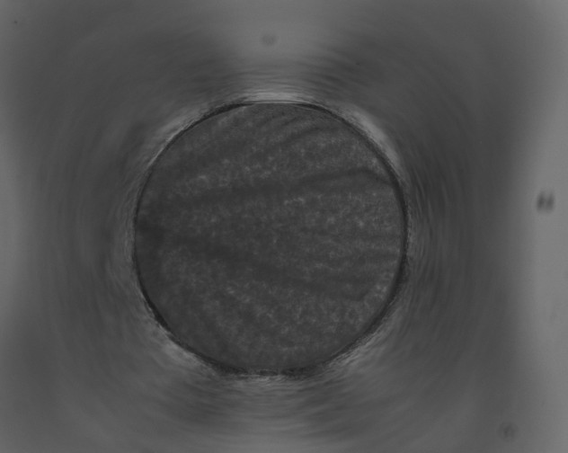 X0000092250385200710051303