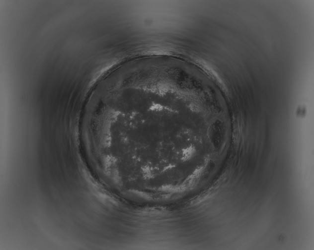 X0000092250386200710051303