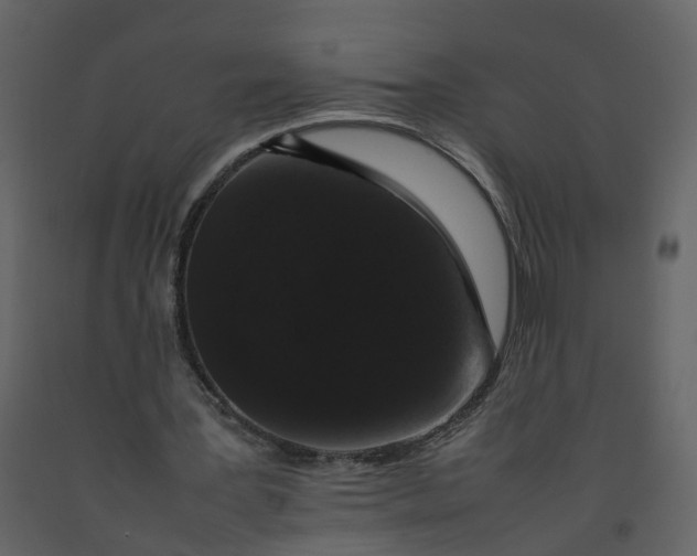 X0000092250387200710051303