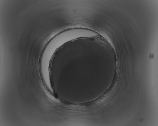 X0000092250389200710051303