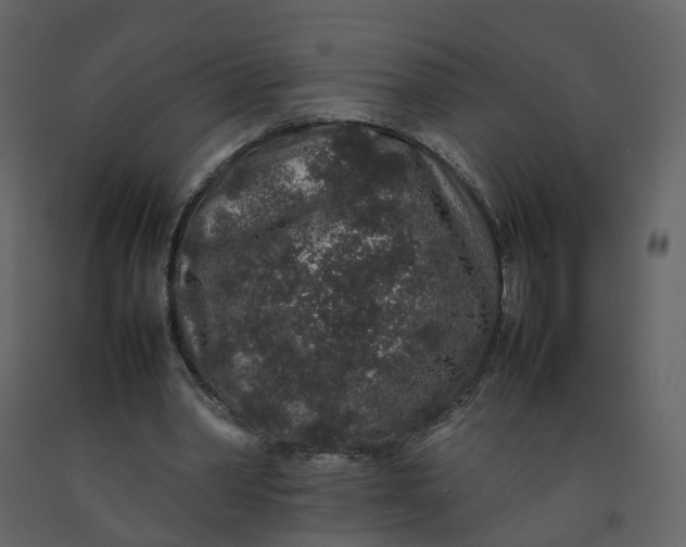 X0000092250390200710051303