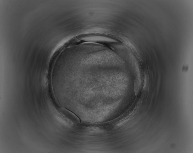X0000092250392200710051303