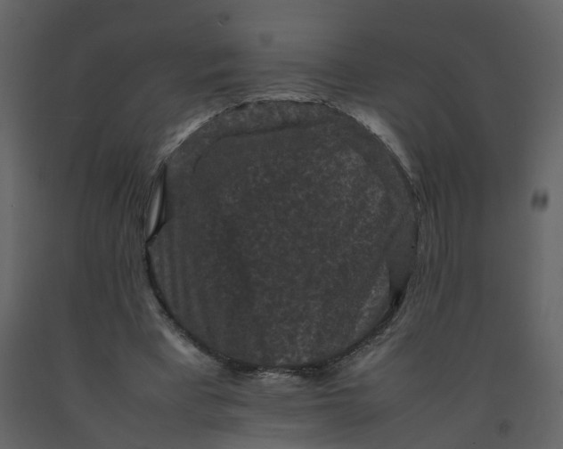 X0000092250393200710051303