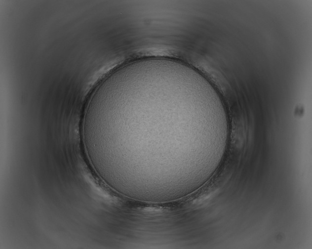 X0000092250394200710051303