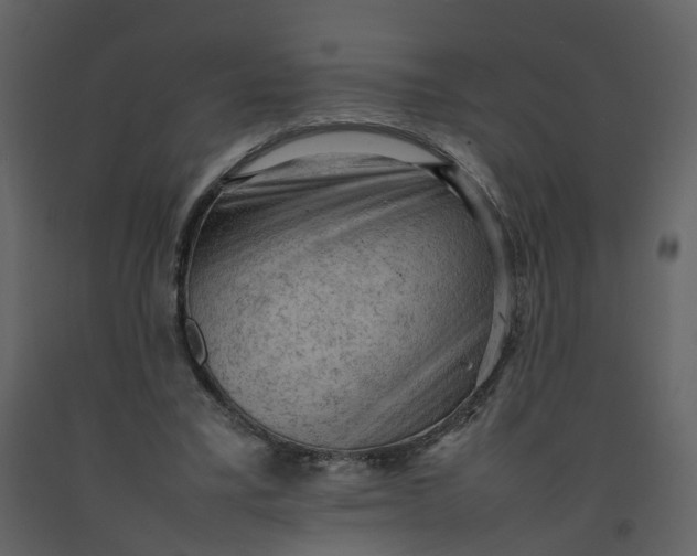 X0000092250395200710051303