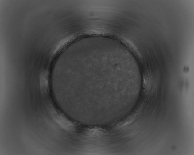 X0000092250396200710051303
