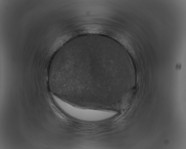 X0000092250397200710051303