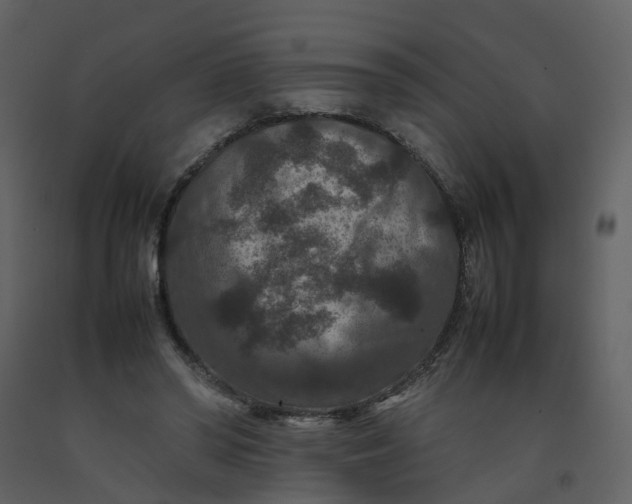 X0000092250398200710051303