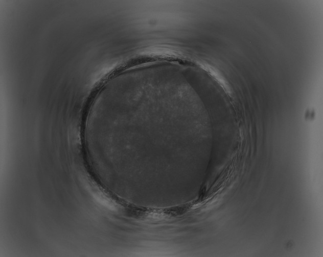 X0000092250399200710051303