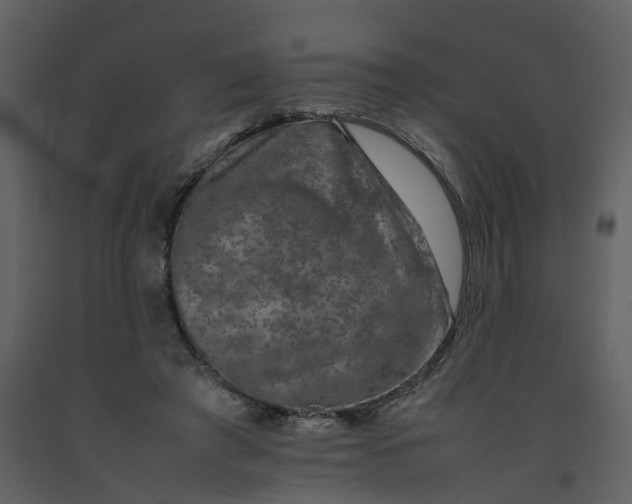 X0000092250401200710051303