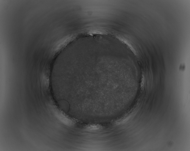 X0000092250402200710051303