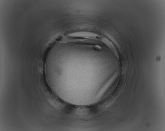 X0000092250403200710051303