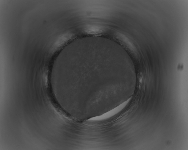 X0000092250404200710051303