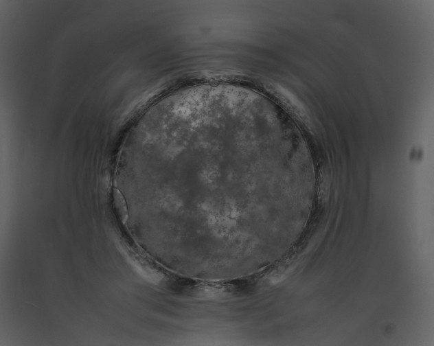 X0000092250405200710051303