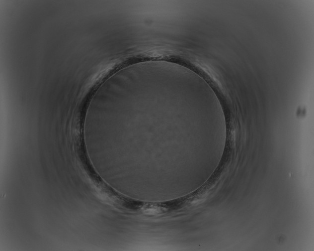 X0000092250407200710051303