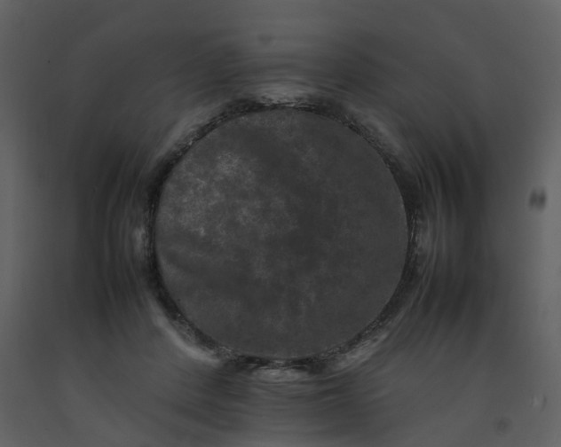 X0000092250408200710051303