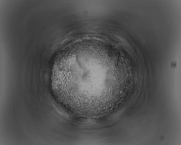 X0000092250409200710051303