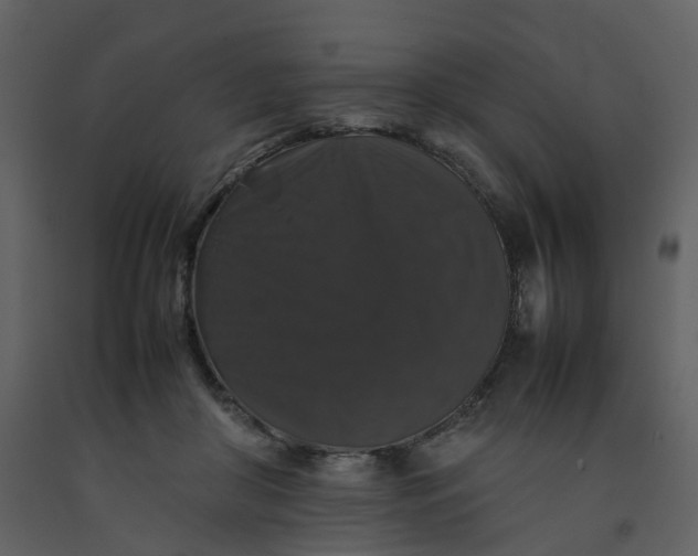 X0000092250410200710051303
