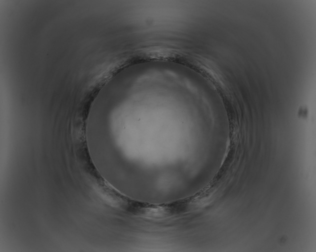 X0000092250411200710051303
