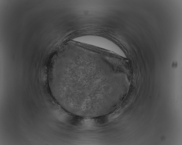 X0000092250413200710051303