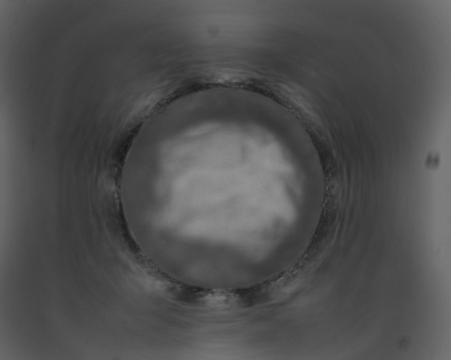 X0000092250415200710051303