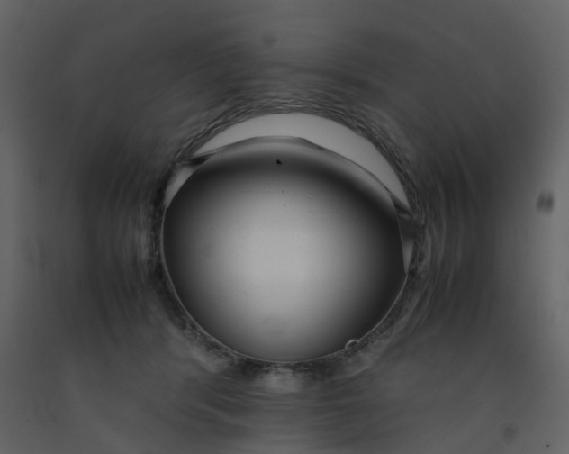 X0000092250416200710051303